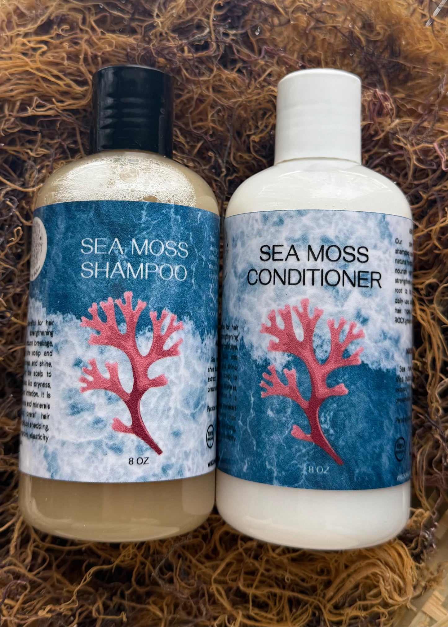 Sea moss shampoo and conditioner